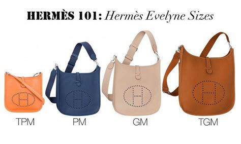 baby evelyn hermes price in usa|hermes evelyne 101 price.